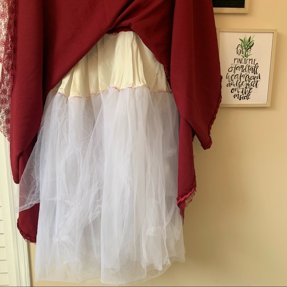 Burgundy Lace and Satin Gown with Crinoline - Picture 4 of 4